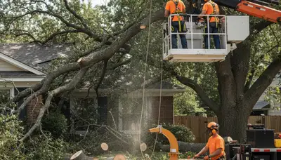 Emergency tree service crew in Phoenix, AZ removing a fallen tree after storm damage