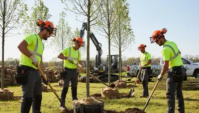 Phoenix tree planting service installing young trees for residential and commercial landscapes
