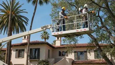 Tree service crew in Phoenix, AZ removing a tree for safe residential property cleanup