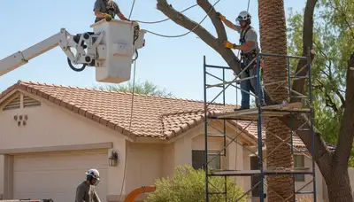 Tree service crew removing a tree in Phoenix, AZ for safe residential property care